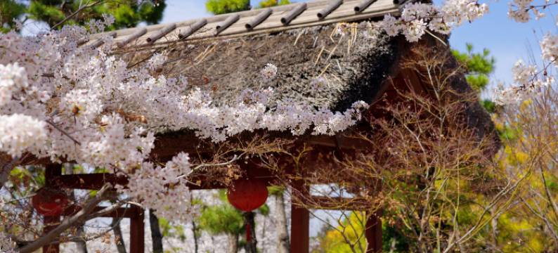 终南·景莊温泉度假酒店图片