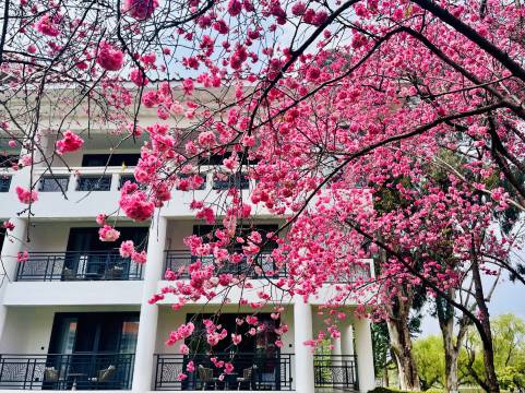 云南滇池温泉花园国际大酒店图片
