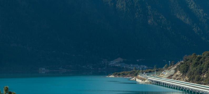 林芝藏南桃谷酒店图片