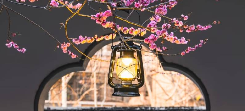 丽斯未来酒店(南京鼓楼新城市广场店)图片