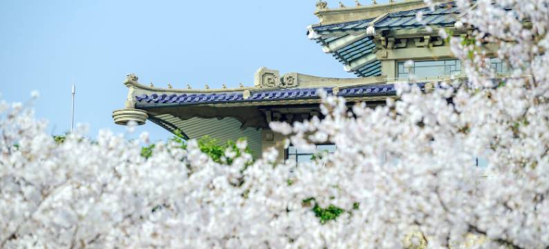 武汉富力威斯汀酒店图片