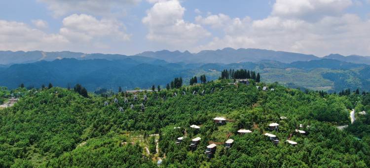 花红似森林酒店图片