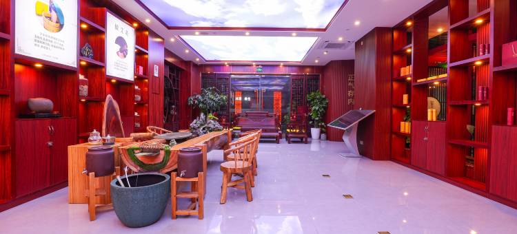 艾圣医皇康养酒店(广州白云机场T2航站楼店)图片