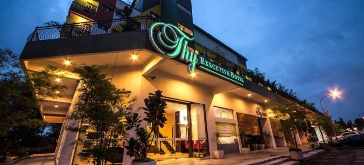 您商务酒店(Thy Executive Hotel)图片