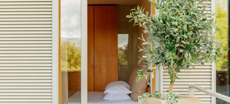 Axis Ponte de Lima Golf Resort Hotel(Axis Ponte de Lima Golf Resort Hotel)图片