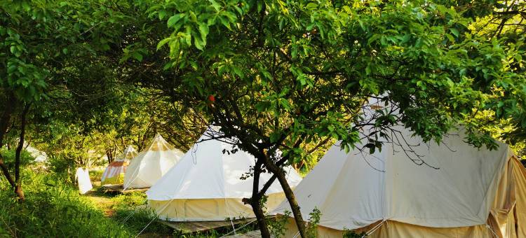 连平趣田野民宿图片