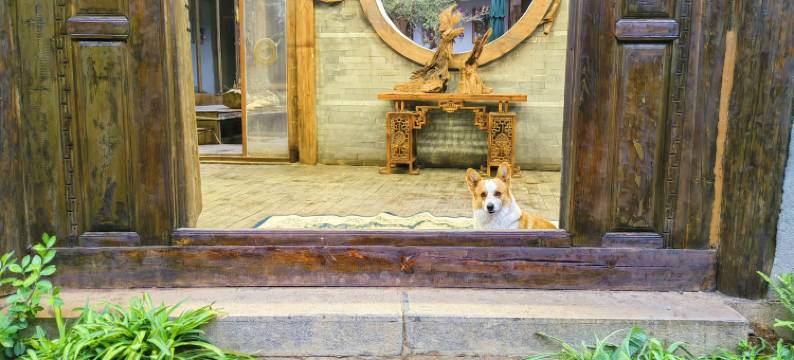 丽江水木茶缘客栈图片