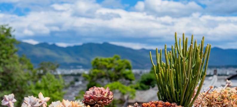 丽江晏域设计师度假酒店(丽江古城观景店)图片