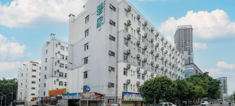 碧家国际社区酒店公寓(深圳坂田雪象地铁站店)图片