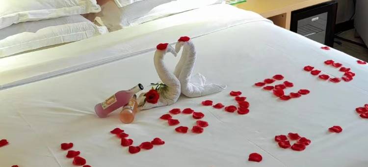 麗枫酒店(东莞虎门万达广场店)图片