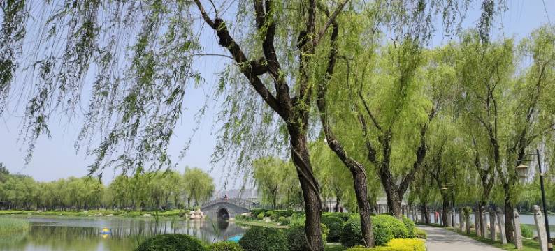 西安曲江三只小猫民宿图片