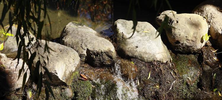 丽江康年丽水阳光酒店图片