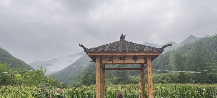 清荷小院图片
