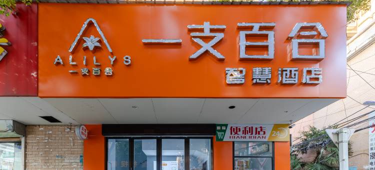 一支百合智慧酒店(万宇步行街店)图片