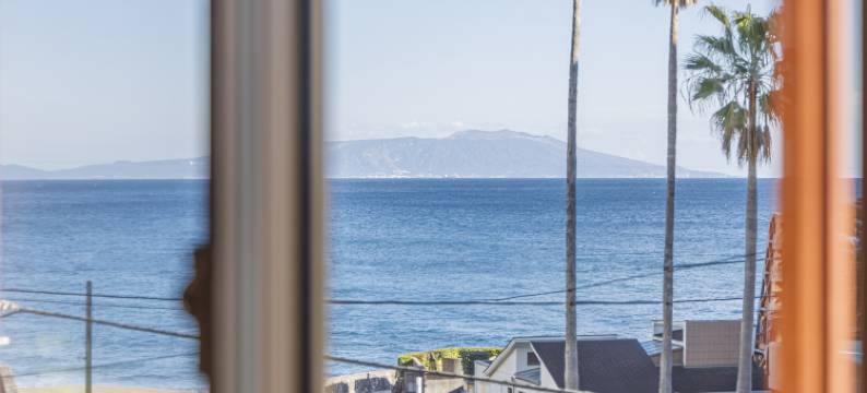 汤花满开旅馆-限成人(Izu Atagawa -Yubana Mankai -Adult Only-)图片