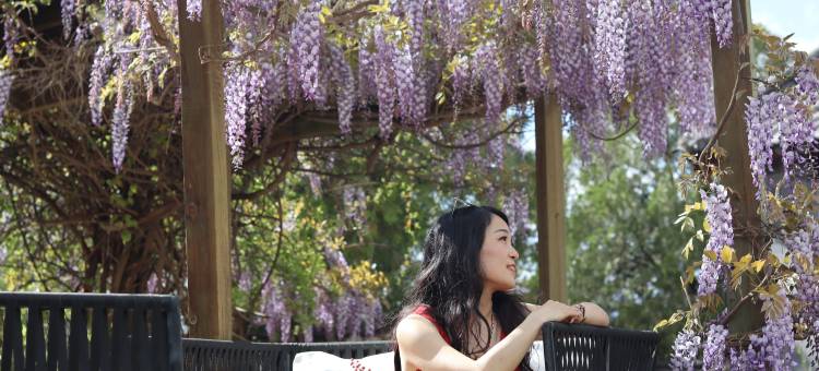 丽江中香界·问云山庄图片