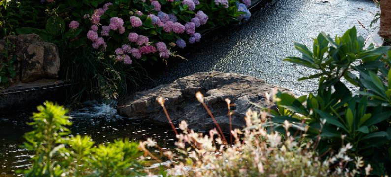 青岛颐海花园酒店(五四广场店)图片