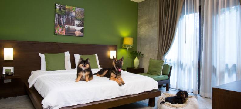 克塔瓦可携宠物酒店(Ketawa Pet Friendly Hotel)图片