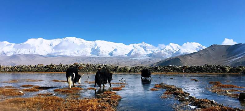 喀什市宁疆酒店(喀什古城昆仑塔店)图片