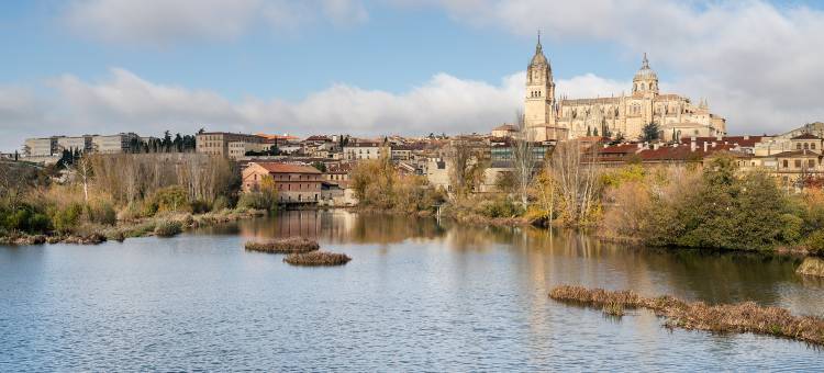 萨拉曼卡酒店(Parador de Salamanca)图片