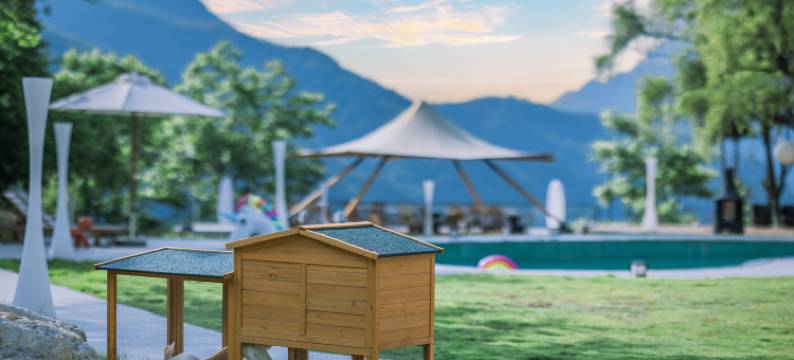 云浮半山•度假民宿图片