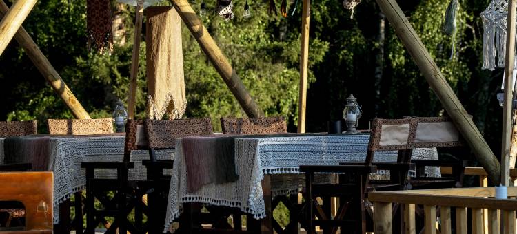 塔尔民宿(白哈巴店)图片