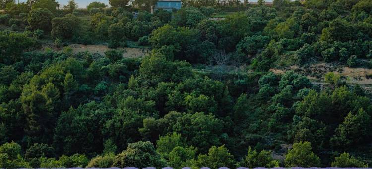 Forcalquier的Domaine Ribiera, 5星级酒店，SPA和高尔夫球场(Domaine Ribiera, Hotel 5 Etoiles, Spa & Golf - Forcalquier)图片