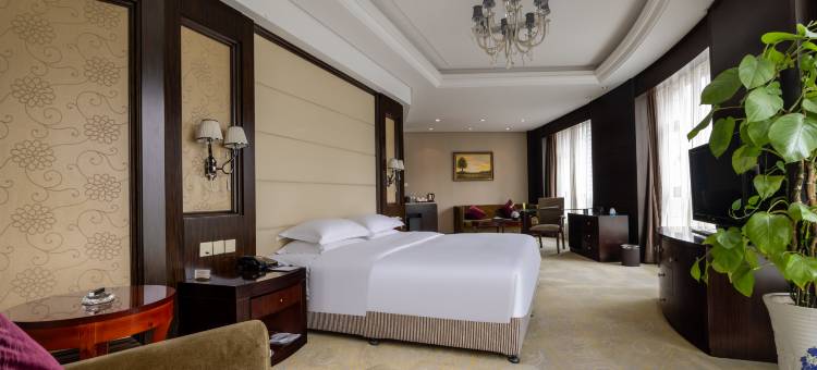 成都九天国际大酒店(成都南站三瓦窑地铁站店)图片