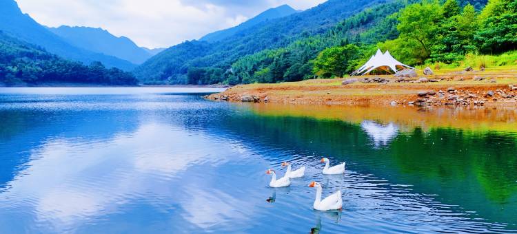 花筑·井冈山溪林心居民宿图片