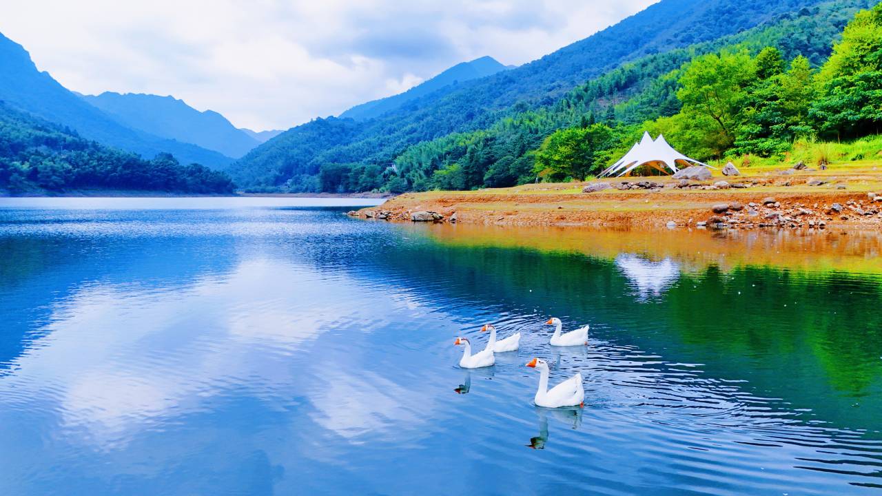 花筑·井冈山溪林心居民宿图片