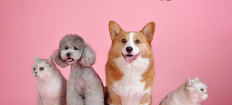 艾居艺术酒店(营口理工学院奥体中心店)图片