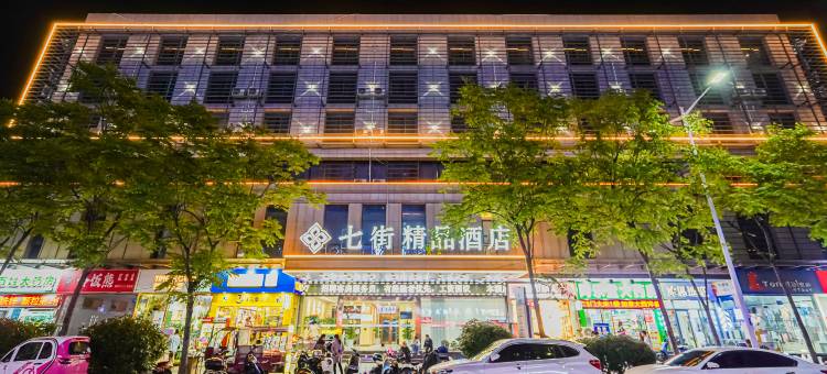 安庆七街精品酒店(七街高铁站店)图片