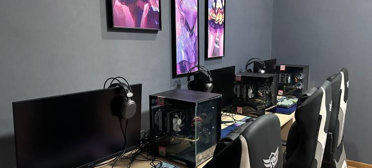 阜城假日精品酒店图片