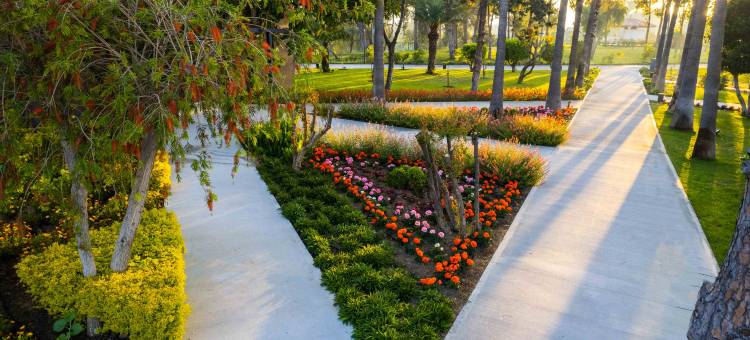 帕洛玛奥伦达(Paloma Orenda)图片