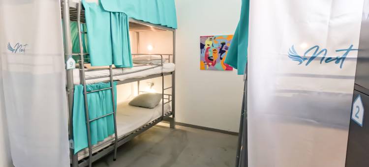 梅达诺巢旅舍(Medano Nest Hostel)图片