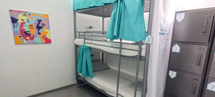 梅达诺巢旅舍(Medano Nest Hostel)图片