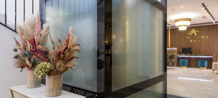 阿夸丽娜酒店(Acqualina Hotel)图片