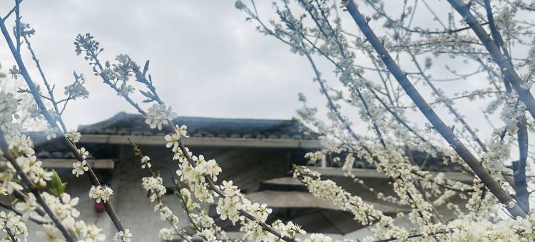 广州从化沐心涧民宿图片