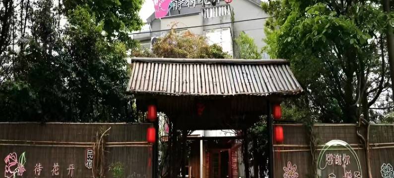 海宁静待花开民宿图片