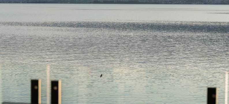 大理双廊坐看云起海景客栈图片