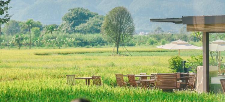 依山伴野·BBQ团建·亲子露营·休闲度假设计师美宿(龙龛码头店)图片