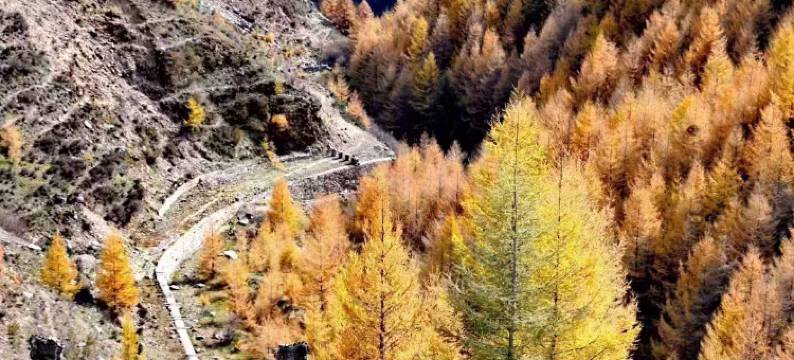 五台山烨茂民宿(白云寺店)图片