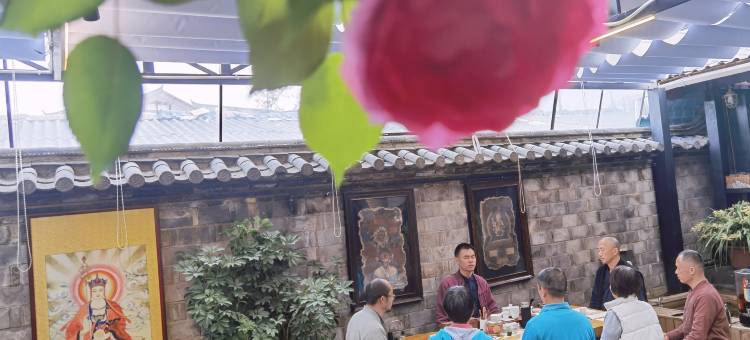 菩提小院图片