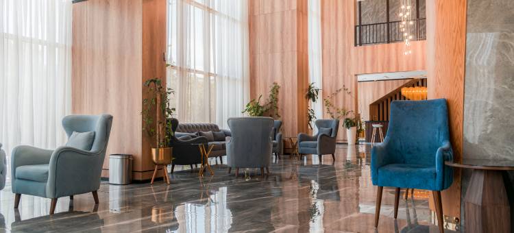 帕莱特豪华MAS酒店(Palette Luxury Mas Hotel)图片