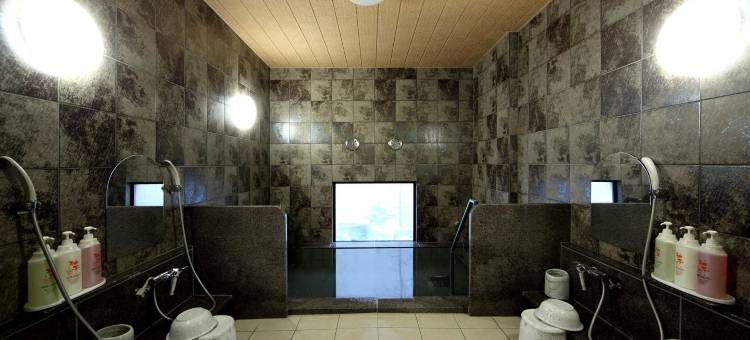 露樱酒店新泻西交流道口店(Hotel Route-Inn Niigata Nishi Inter)图片