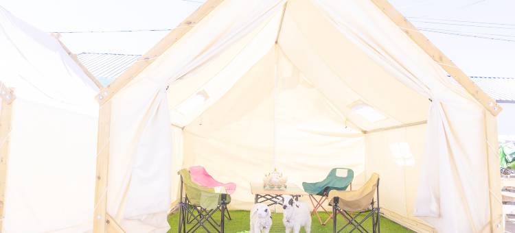 额尔古纳黑山头温都尔汗酒店图片