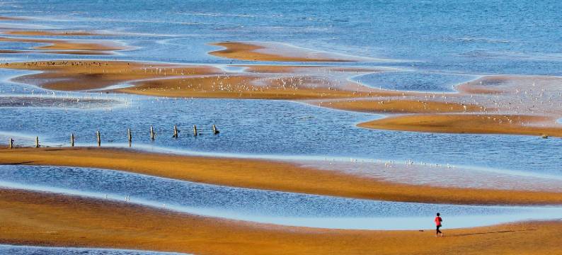 德顺宾馆(北戴河老虎石海上公园店)图片