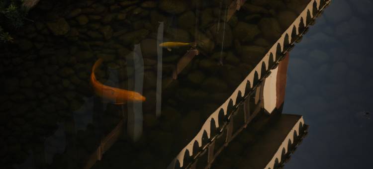 宁海前童古镇隐沫度假酒店图片