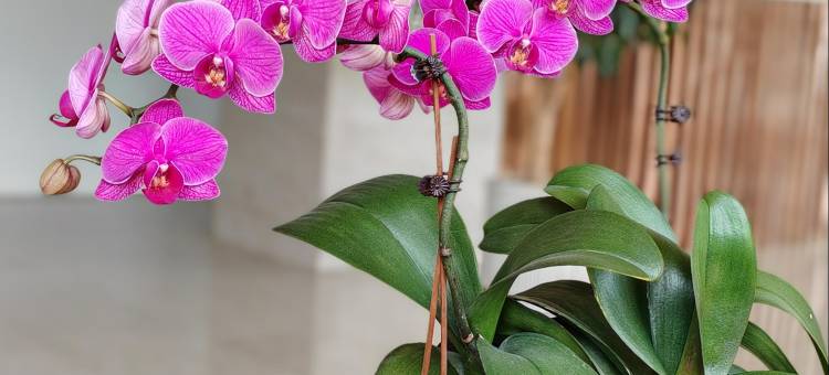 燕东酒店(鹤壁浚县古城店)图片