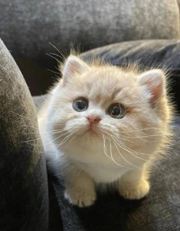 婺源篁岭晒秋·栗木一舍民宿图片